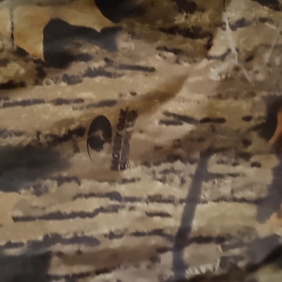 Cabela's for kids sz.L reversible camouflage jacket/coat - Picture 5 of 7